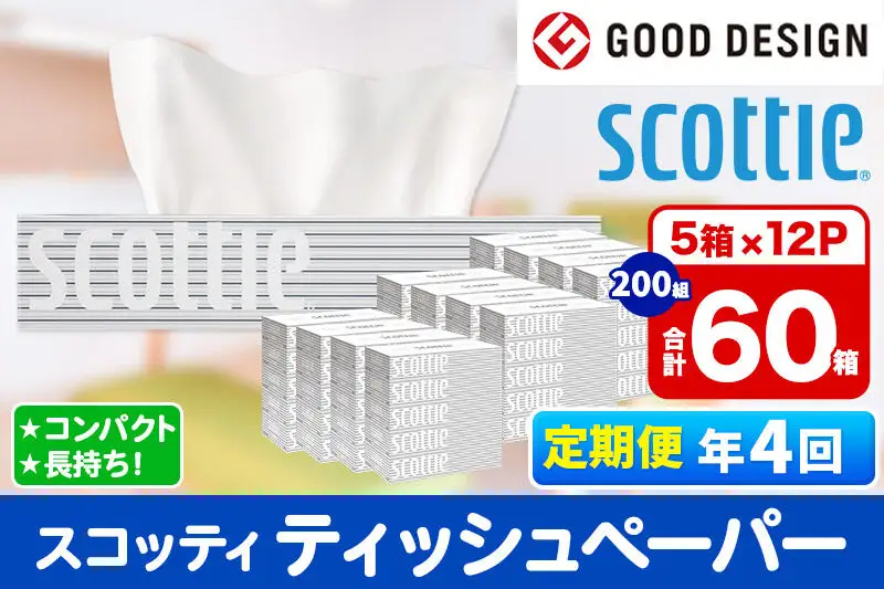 《3ヶ月ごとに4回お届け》定期便 ティッシュペーパー スコッティ 200組 60箱(5箱×12パック) ティッシュ