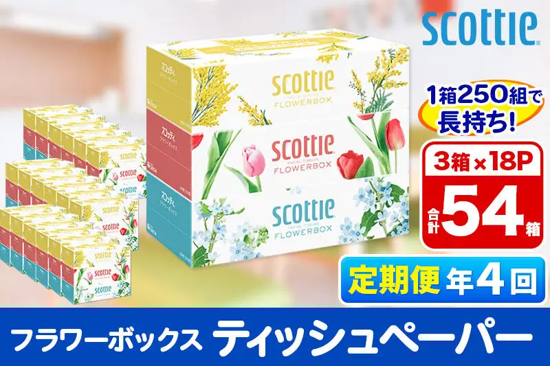 《3ヶ月ごとに4回お届け》定期便 ティッシュペーパー スコッティ フラワーボックス250組 54箱(3箱×18パック) 