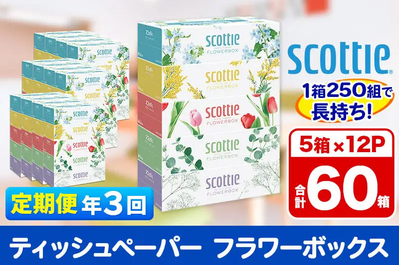 《4ヶ月ごとに3回お届け》定期便 ティッシュペーパー スコッティ フラワーボックス250組 60箱(5箱×12パック) ティッシュ