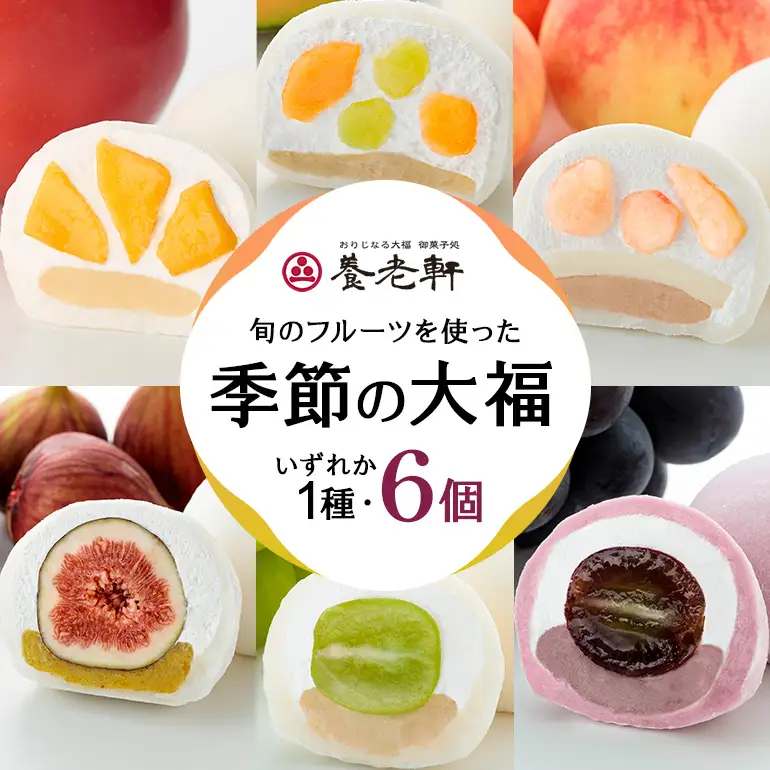 【期間限定】養老軒の季節の大福　6個入（1種類）│お楽しみ 夏 秋 人気 旬 フルーツ ふるーつ スイーツ 大福 和スイーツ おやつ おかし お菓子 和菓子