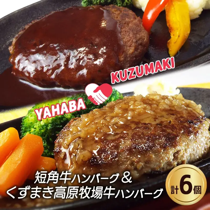 岩手県　矢巾町と葛巻町の人気返礼品 ハンバーグの食べ比べ合計6個/肉 高級 牛 牛肉 和牛 ブランド牛 短角牛 国産牛 くずまき葛巻 くずまき 高原牛 個包装 バーベキュー アミノ酸 イノシン酸 おいしい 冷凍 小分け 共通 返礼品 おすすめ おかず 夕食 お弁当 ランチ はんばーぐ 夕飯 お祝い 父の日 母の日 送料無料 プレゼント ギフト 贈答 おすすめ