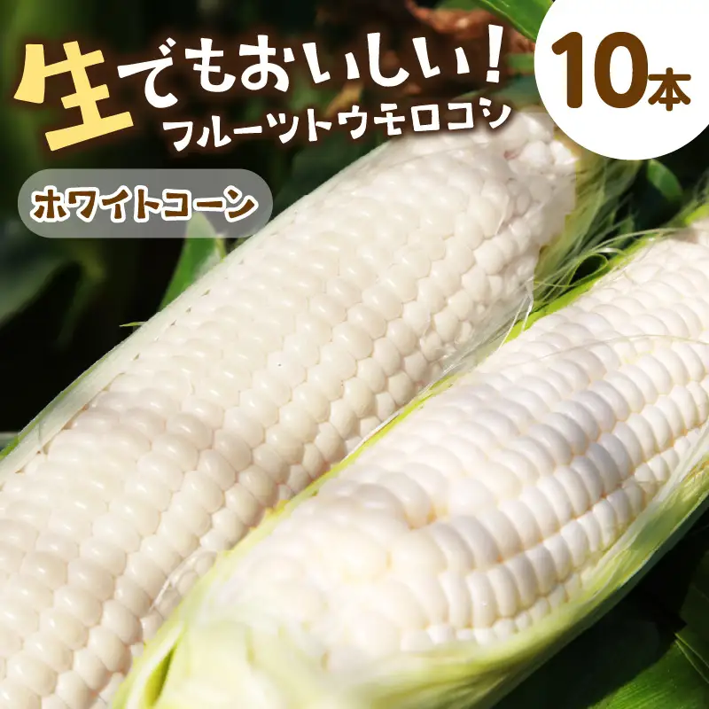 【先行予約】とうもろこし ホワイトコーン 10本 トウモロコシ
