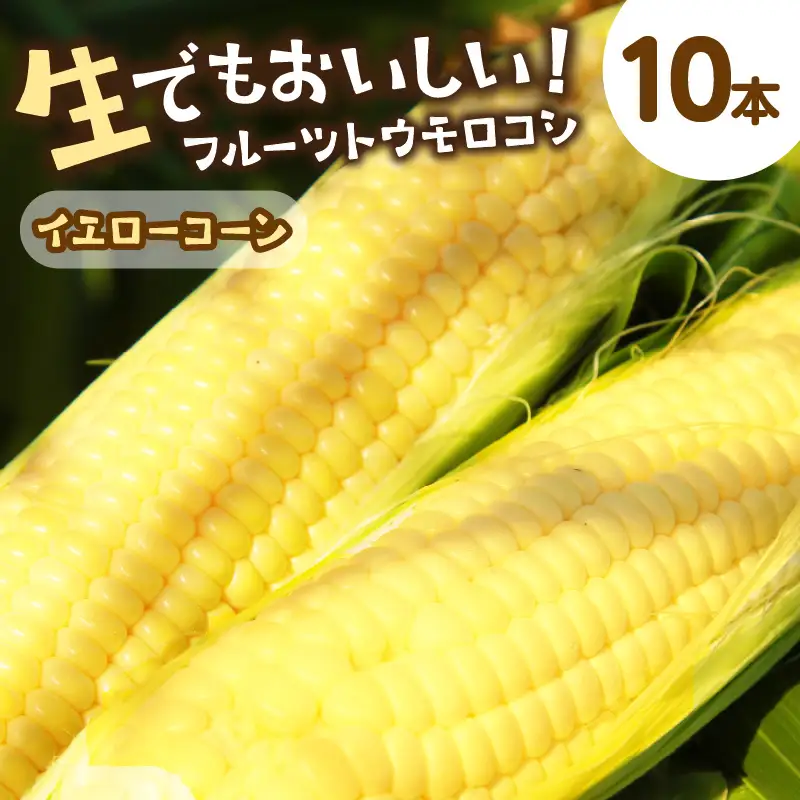 【先行予約】とうもろこし イエローコーン 10本 トウモロコシ