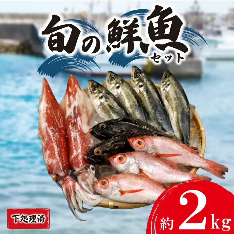 旬の 鮮魚 約 2kg 下処理済 (鮮魚鮮魚鮮魚鮮魚鮮魚鮮魚鮮魚鮮魚鮮魚鮮魚鮮魚鮮魚鮮魚鮮魚鮮魚鮮魚鮮魚鮮魚鮮魚鮮魚鮮魚鮮魚鮮魚鮮魚鮮魚鮮魚鮮魚鮮魚鮮魚鮮魚鮮魚鮮魚鮮魚鮮魚鮮魚鮮魚鮮魚鮮魚鮮魚鮮魚鮮魚鮮魚鮮魚鮮魚鮮魚鮮魚鮮魚鮮魚鮮魚鮮魚鮮魚鮮魚鮮魚鮮魚鮮魚鮮魚鮮魚鮮魚鮮魚鮮魚鮮魚鮮魚鮮魚鮮魚鮮魚鮮魚鮮魚鮮魚鮮魚鮮魚鮮魚鮮魚鮮魚鮮魚鮮魚鮮魚鮮魚鮮魚鮮魚鮮魚鮮魚鮮魚鮮魚鮮魚鮮魚鮮魚鮮魚鮮魚鮮魚鮮魚鮮魚鮮魚鮮魚鮮魚鮮魚鮮魚鮮魚鮮魚鮮魚鮮魚鮮魚鮮魚鮮魚鮮魚鮮魚鮮魚鮮魚鮮魚鮮魚鮮魚鮮魚鮮魚鮮魚鮮魚鮮魚鮮魚鮮魚鮮魚鮮魚鮮魚鮮魚鮮魚鮮魚鮮魚鮮魚鮮魚鮮魚鮮魚鮮魚鮮魚鮮魚鮮魚鮮魚鮮魚鮮魚鮮魚鮮魚鮮魚鮮魚鮮魚鮮魚鮮魚鮮魚鮮魚鮮魚鮮魚鮮魚鮮魚鮮魚鮮魚鮮魚鮮魚鮮魚鮮魚鮮魚鮮魚鮮魚鮮魚鮮魚鮮魚鮮魚鮮魚鮮魚鮮魚鮮魚鮮魚鮮魚鮮魚鮮魚鮮魚鮮魚鮮魚鮮魚鮮魚鮮魚鮮魚鮮魚鮮魚鮮魚鮮魚鮮魚鮮魚鮮魚鮮魚鮮魚鮮魚鮮魚鮮魚鮮魚鮮魚鮮魚鮮魚鮮魚鮮魚鮮魚鮮魚鮮魚鮮魚鮮魚鮮魚鮮魚鮮魚鮮魚鮮魚鮮魚鮮魚鮮魚鮮魚鮮魚鮮魚鮮魚鮮魚鮮魚鮮魚鮮魚鮮魚鮮魚鮮魚鮮魚鮮魚鮮魚鮮魚鮮魚鮮魚鮮魚鮮魚鮮魚鮮魚鮮魚鮮魚鮮魚鮮魚鮮魚鮮魚鮮魚鮮魚鮮魚鮮魚鮮魚鮮魚鮮魚鮮魚鮮魚鮮魚鮮魚鮮魚鮮魚鮮魚鮮魚鮮魚鮮魚鮮魚鮮魚鮮魚鮮魚鮮魚鮮魚鮮魚鮮魚鮮魚鮮魚鮮魚鮮魚鮮魚鮮魚鮮魚鮮魚鮮魚鮮魚鮮魚鮮魚鮮魚鮮魚鮮魚鮮魚鮮魚鮮魚鮮魚鮮魚鮮魚鮮魚鮮魚鮮魚鮮魚鮮魚鮮魚鮮魚鮮魚鮮魚鮮魚鮮魚鮮魚鮮魚鮮魚鮮魚鮮魚鮮魚鮮魚鮮魚鮮魚鮮魚鮮魚鮮魚鮮魚鮮魚鮮魚鮮魚鮮魚鮮魚鮮魚鮮魚鮮魚鮮魚鮮魚鮮魚鮮魚鮮魚鮮魚鮮魚鮮魚鮮魚鮮魚鮮魚鮮魚鮮魚鮮魚鮮魚鮮魚鮮魚鮮魚鮮魚鮮魚鮮魚鮮魚鮮魚鮮魚鮮魚鮮魚鮮魚鮮魚鮮魚鮮魚鮮魚鮮魚鮮魚鮮魚鮮魚鮮魚鮮魚鮮魚鮮魚鮮魚鮮魚鮮魚鮮魚鮮魚鮮魚鮮魚鮮魚鮮魚鮮魚鮮魚鮮魚鮮魚鮮魚鮮魚鮮魚鮮魚鮮魚鮮魚鮮魚鮮魚鮮魚鮮魚鮮魚鮮魚鮮魚鮮魚鮮魚鮮魚鮮魚鮮魚鮮魚鮮魚鮮魚鮮魚鮮魚鮮魚鮮魚鮮魚鮮魚鮮魚鮮魚鮮魚鮮魚鮮魚鮮魚鮮魚鮮魚鮮魚鮮魚鮮魚鮮魚鮮魚鮮魚鮮魚鮮魚鮮魚鮮魚鮮魚鮮魚鮮魚鮮魚鮮魚鮮魚鮮魚鮮魚鮮魚鮮魚鮮魚鮮魚鮮魚鮮魚鮮魚鮮魚鮮魚鮮魚鮮魚鮮魚鮮魚鮮魚鮮魚鮮魚鮮魚鮮魚鮮魚鮮魚鮮魚鮮魚鮮魚鮮魚鮮魚鮮魚鮮魚鮮魚鮮魚鮮魚鮮魚鮮魚鮮魚鮮魚鮮魚鮮魚鮮魚鮮魚鮮魚鮮魚鮮魚鮮魚鮮魚鮮魚鮮魚鮮魚鮮魚鮮魚鮮魚鮮魚鮮魚鮮魚鮮魚鮮魚鮮魚鮮魚鮮魚鮮魚鮮魚鮮魚鮮魚鮮魚鮮魚鮮魚鮮魚鮮魚鮮魚) 下関 山口 IA101