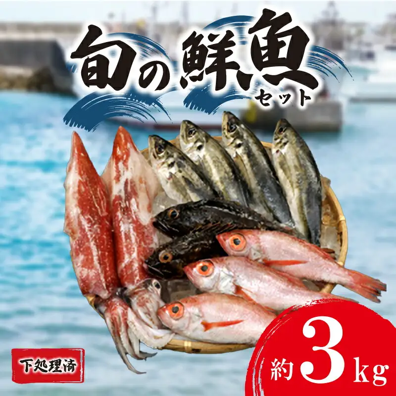 旬の 鮮魚 約 3kg 下処理済 (鮮魚鮮魚鮮魚鮮魚鮮魚鮮魚鮮魚鮮魚鮮魚鮮魚鮮魚鮮魚鮮魚鮮魚鮮魚鮮魚鮮魚鮮魚鮮魚鮮魚鮮魚鮮魚鮮魚鮮魚鮮魚鮮魚鮮魚鮮魚鮮魚鮮魚鮮魚鮮魚鮮魚鮮魚鮮魚鮮魚鮮魚鮮魚鮮魚鮮魚鮮魚鮮魚鮮魚鮮魚鮮魚鮮魚鮮魚鮮魚鮮魚鮮魚鮮魚鮮魚鮮魚鮮魚鮮魚鮮魚鮮魚鮮魚鮮魚鮮魚鮮魚鮮魚鮮魚鮮魚鮮魚鮮魚鮮魚鮮魚鮮魚鮮魚鮮魚鮮魚鮮魚鮮魚鮮魚鮮魚鮮魚鮮魚鮮魚鮮魚鮮魚鮮魚鮮魚鮮魚鮮魚鮮魚鮮魚鮮魚鮮魚鮮魚鮮魚鮮魚鮮魚鮮魚鮮魚鮮魚鮮魚鮮魚鮮魚鮮魚鮮魚鮮魚鮮魚鮮魚鮮魚鮮魚鮮魚鮮魚鮮魚鮮魚鮮魚鮮魚鮮魚鮮魚鮮魚鮮魚鮮魚鮮魚鮮魚鮮魚鮮魚鮮魚鮮魚鮮魚鮮魚鮮魚鮮魚鮮魚鮮魚鮮魚鮮魚鮮魚鮮魚鮮魚鮮魚鮮魚鮮魚鮮魚鮮魚鮮魚鮮魚鮮魚鮮魚鮮魚鮮魚鮮魚鮮魚鮮魚鮮魚鮮魚鮮魚鮮魚鮮魚鮮魚鮮魚鮮魚鮮魚鮮魚鮮魚鮮魚鮮魚鮮魚鮮魚鮮魚鮮魚鮮魚鮮魚鮮魚鮮魚鮮魚鮮魚鮮魚鮮魚鮮魚鮮魚鮮魚鮮魚鮮魚鮮魚鮮魚鮮魚鮮魚鮮魚鮮魚鮮魚鮮魚鮮魚鮮魚鮮魚鮮魚鮮魚鮮魚鮮魚鮮魚鮮魚鮮魚鮮魚鮮魚鮮魚鮮魚鮮魚鮮魚鮮魚鮮魚鮮魚鮮魚鮮魚鮮魚鮮魚鮮魚鮮魚鮮魚鮮魚鮮魚鮮魚鮮魚鮮魚鮮魚鮮魚鮮魚鮮魚鮮魚鮮魚鮮魚鮮魚鮮魚鮮魚鮮魚鮮魚鮮魚鮮魚鮮魚鮮魚鮮魚鮮魚鮮魚鮮魚鮮魚鮮魚鮮魚鮮魚鮮魚鮮魚鮮魚鮮魚鮮魚鮮魚鮮魚鮮魚鮮魚鮮魚鮮魚鮮魚鮮魚鮮魚鮮魚鮮魚鮮魚鮮魚鮮魚鮮魚鮮魚鮮魚鮮魚鮮魚鮮魚鮮魚鮮魚鮮魚鮮魚鮮魚鮮魚鮮魚鮮魚鮮魚鮮魚鮮魚鮮魚鮮魚鮮魚鮮魚鮮魚鮮魚鮮魚鮮魚鮮魚鮮魚鮮魚鮮魚鮮魚鮮魚鮮魚鮮魚鮮魚鮮魚鮮魚鮮魚鮮魚鮮魚鮮魚鮮魚鮮魚鮮魚鮮魚鮮魚鮮魚鮮魚鮮魚鮮魚鮮魚鮮魚鮮魚鮮魚鮮魚鮮魚鮮魚鮮魚鮮魚鮮魚鮮魚鮮魚鮮魚鮮魚鮮魚鮮魚鮮魚鮮魚鮮魚鮮魚鮮魚鮮魚鮮魚鮮魚鮮魚鮮魚鮮魚鮮魚鮮魚鮮魚鮮魚鮮魚鮮魚鮮魚鮮魚鮮魚鮮魚鮮魚鮮魚鮮魚鮮魚鮮魚鮮魚鮮魚鮮魚鮮魚鮮魚鮮魚鮮魚鮮魚鮮魚鮮魚鮮魚鮮魚鮮魚鮮魚鮮魚鮮魚鮮魚鮮魚鮮魚鮮魚鮮魚鮮魚鮮魚鮮魚鮮魚鮮魚鮮魚鮮魚鮮魚鮮魚鮮魚鮮魚鮮魚鮮魚鮮魚鮮魚鮮魚鮮魚鮮魚鮮魚鮮魚鮮魚鮮魚鮮魚鮮魚鮮魚鮮魚鮮魚鮮魚鮮魚鮮魚鮮魚鮮魚鮮魚鮮魚鮮魚鮮魚鮮魚鮮魚鮮魚鮮魚鮮魚鮮魚鮮魚鮮魚鮮魚鮮魚鮮魚鮮魚鮮魚鮮魚鮮魚鮮魚鮮魚鮮魚鮮魚鮮魚鮮魚鮮魚鮮魚鮮魚鮮魚鮮魚鮮魚鮮魚鮮魚鮮魚鮮魚鮮魚鮮魚鮮魚鮮魚鮮魚鮮魚鮮魚鮮魚鮮魚鮮魚鮮魚鮮魚鮮魚鮮魚鮮魚鮮魚鮮魚鮮魚鮮魚鮮魚鮮魚鮮魚鮮魚鮮魚鮮魚鮮魚鮮魚鮮魚鮮魚鮮魚鮮魚鮮魚鮮魚鮮魚鮮魚鮮魚鮮魚鮮魚鮮魚鮮魚鮮魚鮮魚鮮魚鮮魚鮮魚) 下関 山口 IA102