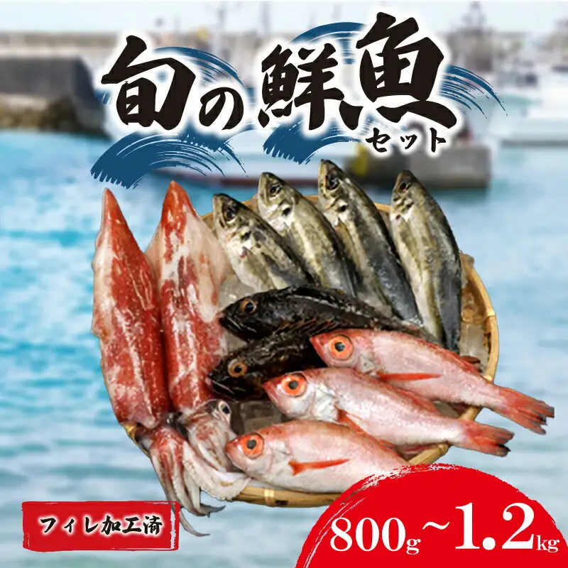 旬の鮮魚 800g ～ 1.2kg フィレ加工処理済 (鮮魚鮮魚鮮魚鮮魚鮮魚鮮魚鮮魚鮮魚鮮魚鮮魚鮮魚鮮魚鮮魚鮮魚鮮魚鮮魚鮮魚鮮魚鮮魚鮮魚鮮魚鮮魚鮮魚鮮魚鮮魚鮮魚鮮魚鮮魚鮮魚鮮魚鮮魚鮮魚鮮魚鮮魚鮮魚鮮魚鮮魚鮮魚鮮魚鮮魚鮮魚鮮魚鮮魚鮮魚鮮魚鮮魚鮮魚鮮魚鮮魚鮮魚鮮魚鮮魚鮮魚鮮魚鮮魚鮮魚鮮魚鮮魚鮮魚鮮魚鮮魚鮮魚鮮魚鮮魚鮮魚鮮魚鮮魚鮮魚鮮魚鮮魚鮮魚鮮魚鮮魚鮮魚鮮魚鮮魚鮮魚鮮魚鮮魚鮮魚鮮魚鮮魚鮮魚鮮魚鮮魚鮮魚鮮魚鮮魚鮮魚鮮魚鮮魚鮮魚鮮魚鮮魚鮮魚鮮魚鮮魚鮮魚鮮魚鮮魚鮮魚鮮魚鮮魚鮮魚鮮魚鮮魚鮮魚鮮魚鮮魚鮮魚鮮魚鮮魚鮮魚鮮魚鮮魚鮮魚鮮魚鮮魚鮮魚鮮魚鮮魚鮮魚鮮魚鮮魚鮮魚鮮魚鮮魚鮮魚鮮魚鮮魚鮮魚鮮魚鮮魚鮮魚鮮魚鮮魚鮮魚鮮魚鮮魚鮮魚鮮魚鮮魚鮮魚鮮魚鮮魚鮮魚鮮魚鮮魚鮮魚鮮魚鮮魚鮮魚鮮魚鮮魚鮮魚鮮魚鮮魚鮮魚鮮魚鮮魚鮮魚鮮魚鮮魚鮮魚鮮魚鮮魚鮮魚鮮魚鮮魚鮮魚鮮魚鮮魚鮮魚鮮魚鮮魚鮮魚鮮魚鮮魚鮮魚鮮魚鮮魚鮮魚鮮魚鮮魚鮮魚鮮魚鮮魚鮮魚鮮魚鮮魚鮮魚鮮魚鮮魚鮮魚鮮魚鮮魚鮮魚鮮魚鮮魚鮮魚鮮魚鮮魚鮮魚鮮魚鮮魚鮮魚鮮魚鮮魚鮮魚鮮魚鮮魚鮮魚鮮魚鮮魚鮮魚鮮魚鮮魚鮮魚鮮魚鮮魚鮮魚鮮魚鮮魚鮮魚鮮魚鮮魚鮮魚鮮魚鮮魚鮮魚鮮魚鮮魚鮮魚鮮魚鮮魚鮮魚鮮魚鮮魚鮮魚鮮魚鮮魚鮮魚鮮魚鮮魚鮮魚鮮魚鮮魚鮮魚鮮魚鮮魚鮮魚鮮魚鮮魚鮮魚鮮魚鮮魚鮮魚鮮魚鮮魚鮮魚鮮魚鮮魚鮮魚鮮魚鮮魚鮮魚鮮魚鮮魚鮮魚鮮魚鮮魚鮮魚鮮魚鮮魚鮮魚鮮魚鮮魚鮮魚鮮魚鮮魚鮮魚鮮魚鮮魚鮮魚鮮魚鮮魚鮮魚鮮魚鮮魚鮮魚鮮魚鮮魚鮮魚鮮魚鮮魚鮮魚鮮魚鮮魚鮮魚鮮魚鮮魚鮮魚鮮魚鮮魚鮮魚鮮魚鮮魚鮮魚鮮魚鮮魚鮮魚鮮魚鮮魚鮮魚鮮魚鮮魚鮮魚鮮魚鮮魚鮮魚鮮魚鮮魚鮮魚鮮魚鮮魚鮮魚鮮魚鮮魚鮮魚鮮魚鮮魚鮮魚鮮魚鮮魚鮮魚鮮魚鮮魚鮮魚鮮魚鮮魚鮮魚鮮魚鮮魚鮮魚鮮魚鮮魚鮮魚鮮魚鮮魚鮮魚鮮魚鮮魚鮮魚鮮魚鮮魚鮮魚鮮魚鮮魚鮮魚鮮魚鮮魚鮮魚鮮魚鮮魚鮮魚鮮魚鮮魚鮮魚鮮魚鮮魚鮮魚鮮魚鮮魚鮮魚鮮魚鮮魚鮮魚鮮魚鮮魚鮮魚鮮魚鮮魚鮮魚鮮魚鮮魚鮮魚鮮魚鮮魚鮮魚鮮魚鮮魚鮮魚鮮魚鮮魚鮮魚鮮魚鮮魚鮮魚鮮魚鮮魚鮮魚鮮魚鮮魚鮮魚鮮魚鮮魚鮮魚鮮魚鮮魚鮮魚鮮魚鮮魚鮮魚鮮魚鮮魚鮮魚鮮魚鮮魚鮮魚鮮魚鮮魚鮮魚鮮魚鮮魚鮮魚鮮魚鮮魚鮮魚鮮魚鮮魚鮮魚鮮魚鮮魚鮮魚鮮魚鮮魚鮮魚鮮魚鮮魚鮮魚鮮魚鮮魚鮮魚鮮魚鮮魚鮮魚鮮魚鮮魚鮮魚鮮魚鮮魚鮮魚鮮魚鮮魚鮮魚鮮魚鮮魚鮮魚鮮魚鮮魚鮮魚鮮魚鮮魚鮮魚鮮魚鮮魚鮮魚鮮魚鮮魚鮮魚鮮魚鮮魚鮮魚鮮魚鮮魚鮮魚鮮魚鮮魚) 下関 山口 IA101-f