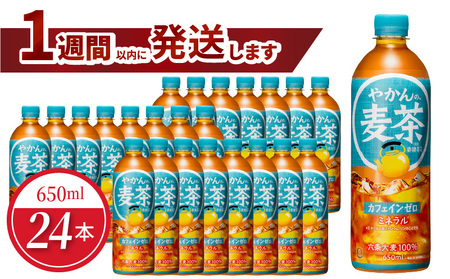 やかんの麦茶 from 爽健美茶 PET 650ml（24本入） 爽健美茶 麦茶 焙煎 大麦 カフェインゼロ 麦茶 国産大麦  コカ・コーラ BB-0062