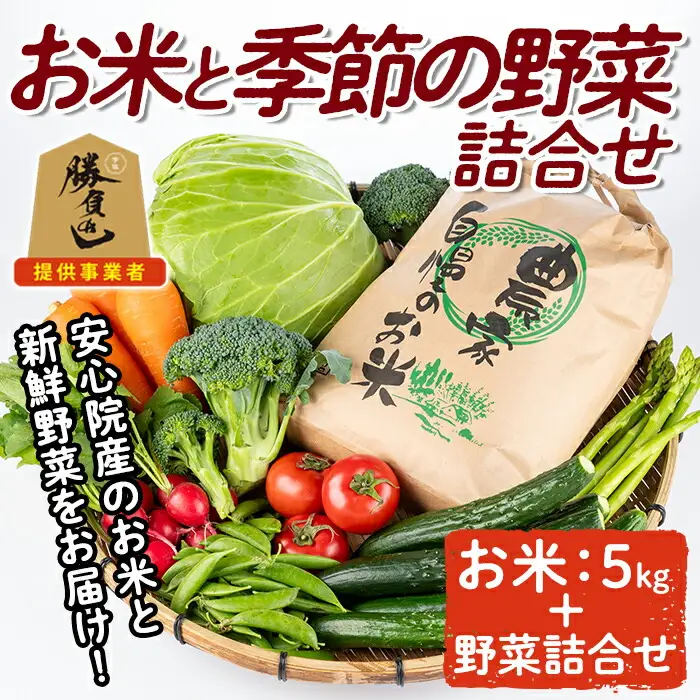 産地直送！宇佐のお米と季節の野菜詰合せ(お米5kg＋野菜詰め合わせ)米 お米 野菜 季節の野菜 詰合せ 安心院産 大分県産 勝負めし 【103700102】【小の岩の庄】