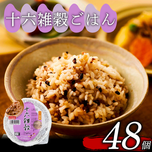 【国産100%】十六雑穀米 パックご飯 160g×48個 レンジで簡単 幸南食糧