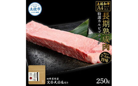 土佐和牛 特選カルビブロック250g 田野屋銀象完全天日塩1P付き 特選 長期熟成肉 田野屋銀象 完全天日塩付き カルビ 牛肉 ブロック 肉 お肉 和牛 国産 牛 熟成肉【株式会社LATERAL】 [BQAU040]