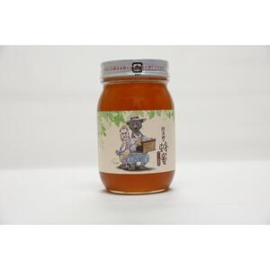 【特別仕様】はちみつ 井之上養蜂場 桃源郷百花蜂蜜 三朝町産 600g × 1本