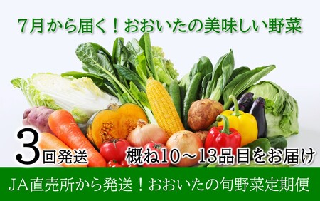 7月からお届け!おおいたの旬野菜定期便/計3回発送_2395R