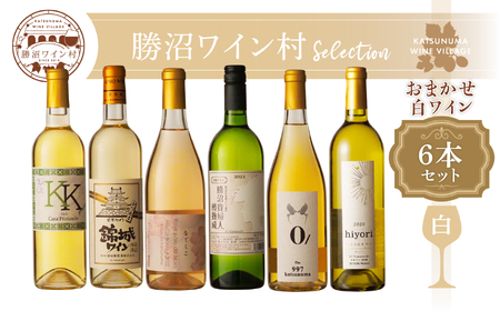 勝沼ワイン村 おまかせワイン（白）6本セット（KWV）F4-650