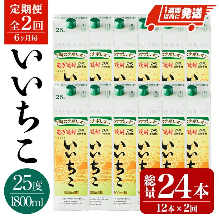 ＜定期便・全2回(6ヶ月毎)＞いいちこ 25度 パック(総量24本・1800ml×12本×2回)酒 お酒 むぎ焼酎 1800ml 麦焼酎 常温 いいちこ 三和酒類 紙パック【207300400】【時枝酒店】