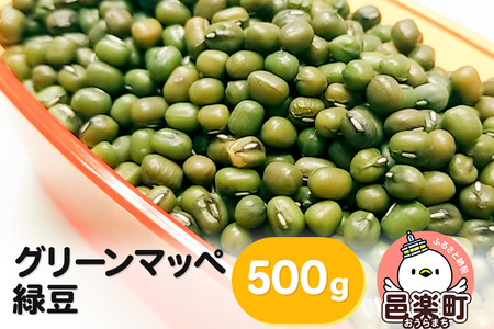 グリーンマッペ（緑豆）500g×1袋 サイトウ・コーポレーション 飼料