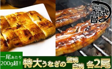 心に染みる「かけはし」の味 特大 うなぎの蒲焼き 白焼き（各2尾） 秘伝のタレ付 鰻 