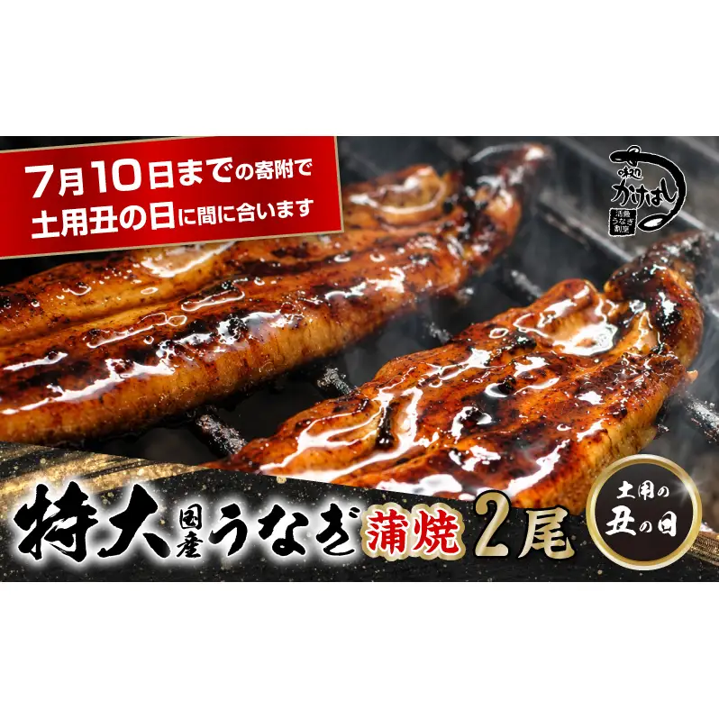 心に染みる かけはし 特大 国産 うなぎ 蒲焼き 2尾 1尾あたり300～400g 国産 鰻 美味しい 備長炭焼き ふっくら肉厚 タレ付き 贅沢 ボリューム満点 ご褒美 グルメ お取り寄せ 福岡 老舗