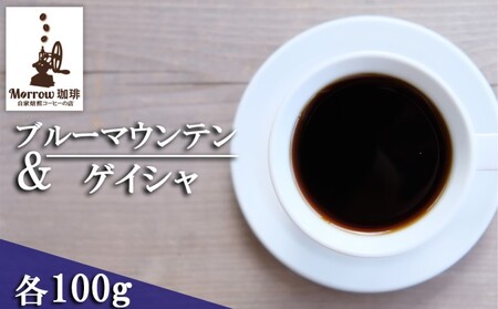 珈琲 自家焙煎 ブルーマウンテン No.1＆ゲイシャ 各100g Morrow珈琲  粉
