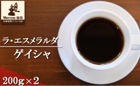 珈琲 世界最高峰の一つ ラ・エスメラルダ ゲイシャ 200g×2 Morrow珈琲  粉