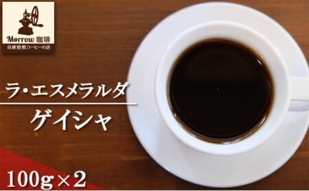 珈琲 世界最高峰の一つ ラ・エスメラルダ ゲイシャ 100g×2 Morrow珈琲  粉
