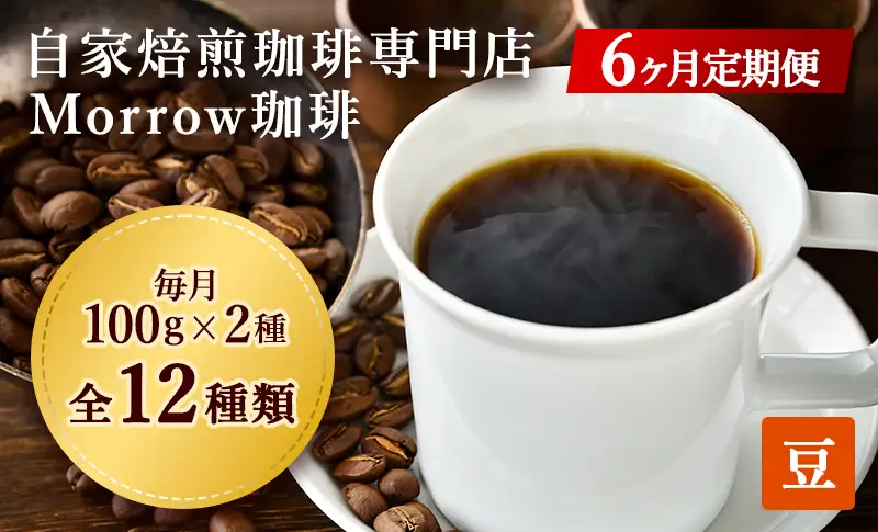 コーヒー豆 定期便 6ヶ月 自家焙煎 Morrow珈琲 2種 各100g セット 詰め合わせ レギュラーコーヒー 珈琲 コーヒー 珈琲豆 ドリップコーヒー ドリップ 自家焙煎珈琲 自家焙煎コーヒー 6回 半年 お楽しみ 福岡 福岡県 小郡市