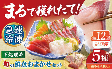 【12回定期便】【下処理済】超速冷凍鮮魚5種 五島市 / 金沢鮮魚[PEP021] 