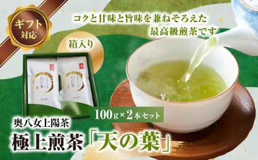【ギフト用】奥八女上陽茶　極上煎茶「天の葉」100ｇ×2本セット箱 178-002-GFT