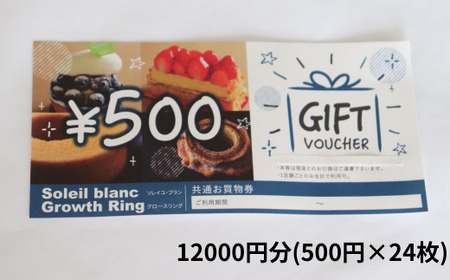 店舗利用券12000円分