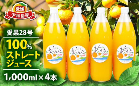 愛果28号 みかん 100% ストレートジュース 1,000ml × 4本 奥田農園 ジュース H024-188001