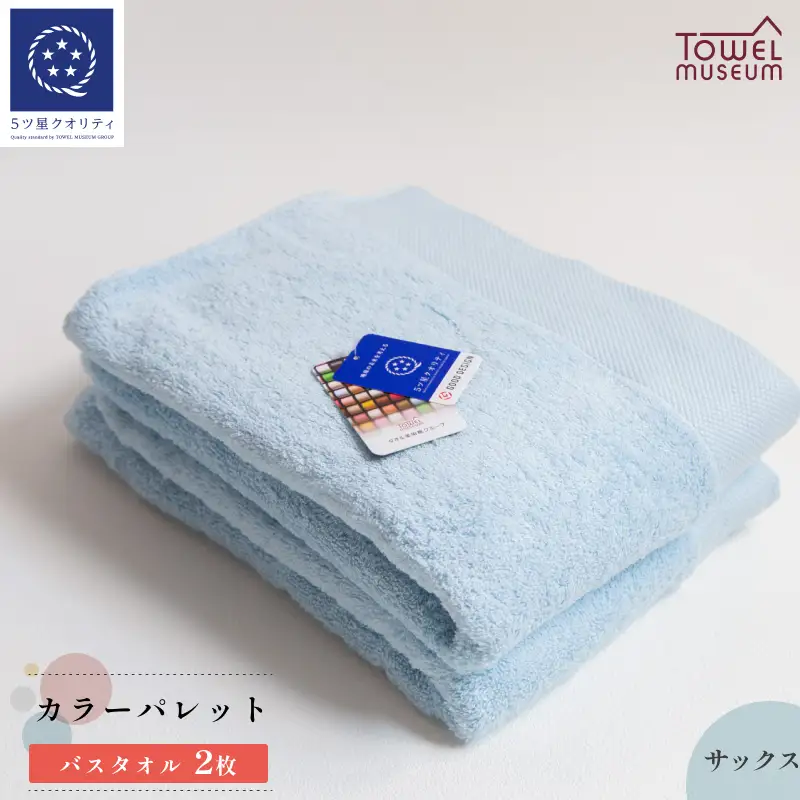 カラーパレット　バスタオル2枚セット（サックス） タオル美術館
