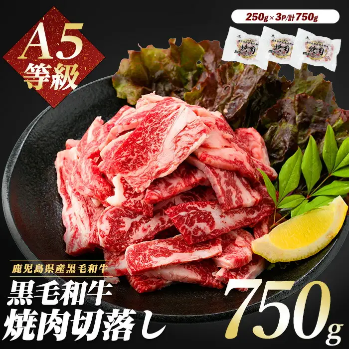 A5等級鹿児島県産黒毛和牛 焼肉切り落とし750g 250g×3P カミチク IB112-016 牛肉 牛肉 
