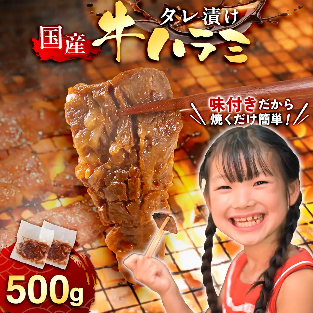 ハラミ 牛肉 焼肉 国産 特製 たれ漬 サガリ 500g ハラミ [um40azp100003]