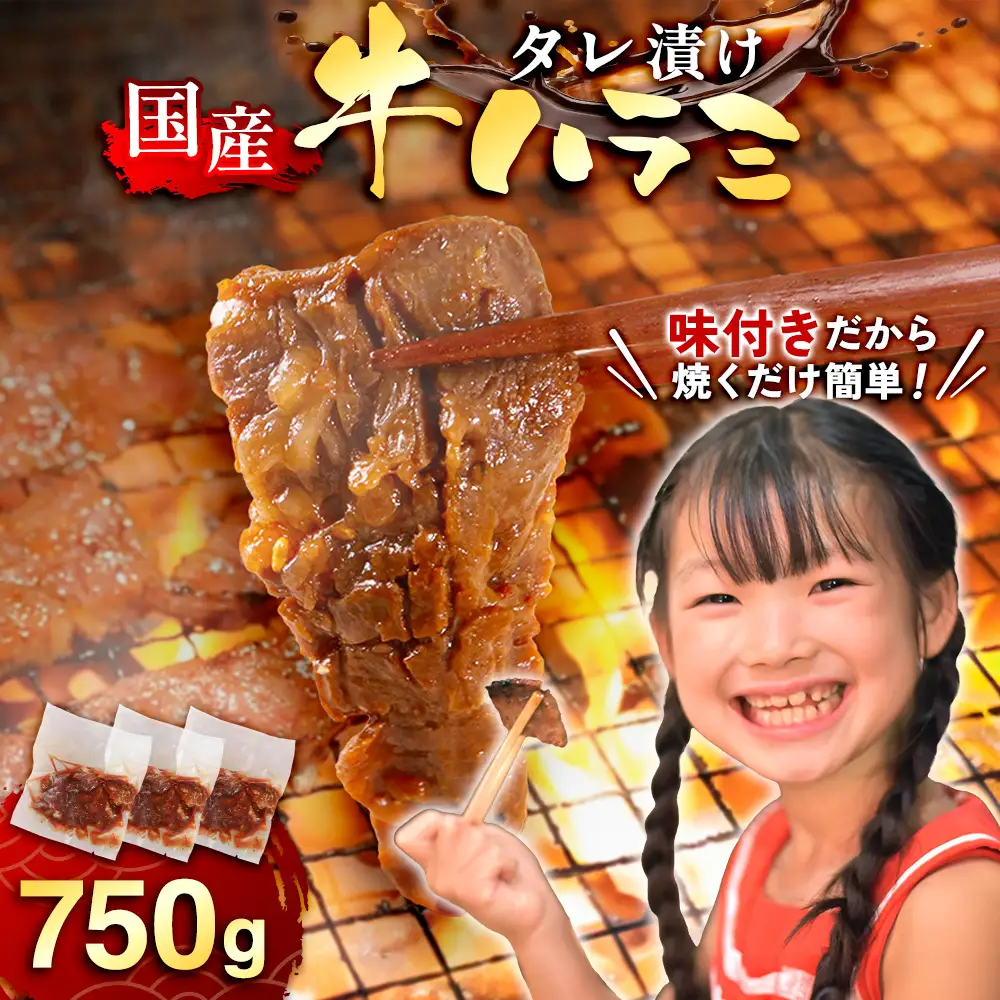 ハラミ 牛肉 焼肉 国産 特製 たれ漬 サガリ 750g ハラミ [um40azp100004]