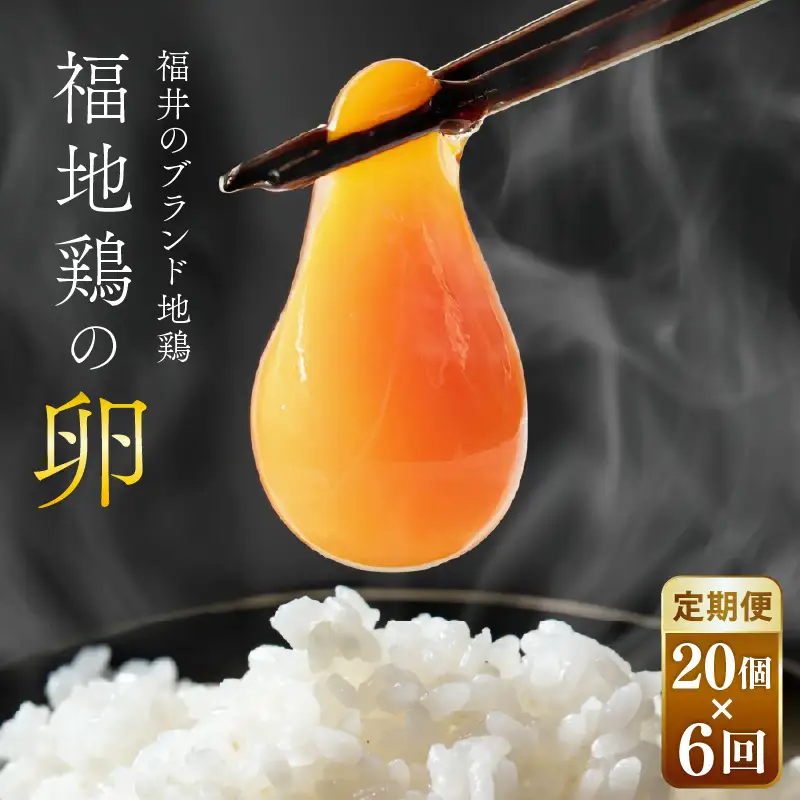 【6ヶ月連続お届け】 福井ブランド 「福地鶏」 の卵 20個 濃厚で甘くておいしい！  定期便 ／ 卵 たまご 鶏卵 生卵 有精卵 高級 高級卵 福地鶏 鶏 平飼い 美味しい こだわり 6ヶ月 定期便 卵かけご飯 料理 あわら市 福井県産 [aw036-d002]