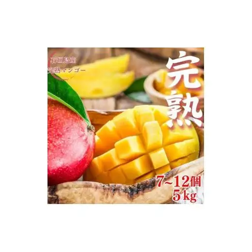 ＜予約受付＞完熟アップルマンゴー 7~12個 約5kg 