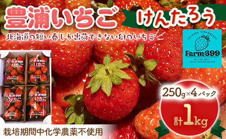 いちご 【2026月4月下旬以降出荷】豊浦いちご　250ｇ×4パック 