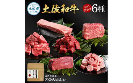 土佐和牛詰め合わせ6種 長期熟成肉 6種 詰め合わせ セット 田野屋銀象 完全天日塩付き 牛肉 肉 お肉 和牛 国産 牛 赤身 ヒレ カルビ ロース ブロック【株式会社LATERAL】 [BQAU063]