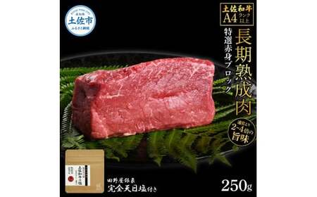 土佐和牛 特選赤身ブロック250g 田野屋銀象完全天日塩1P付き 長期熟成肉 田野屋銀象 完全天日塩付き 赤身 牛肉 ブロック 肉 お肉 和牛 国産 牛 熟成肉 【株式会社LATERAL】 [BQAU059]