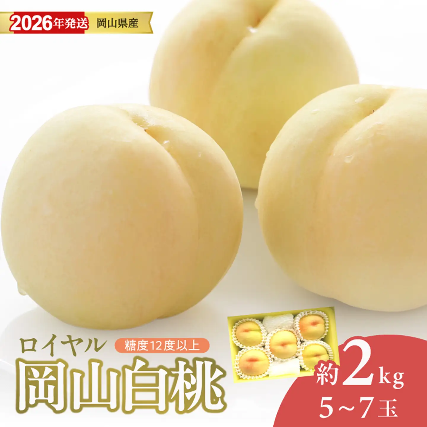 【2026年発送分 先行受付スタート！】岡山県産 白桃 最高ランク！「ロイヤル」 約2kg（令和8年7月以降発送）【桃】hz-m