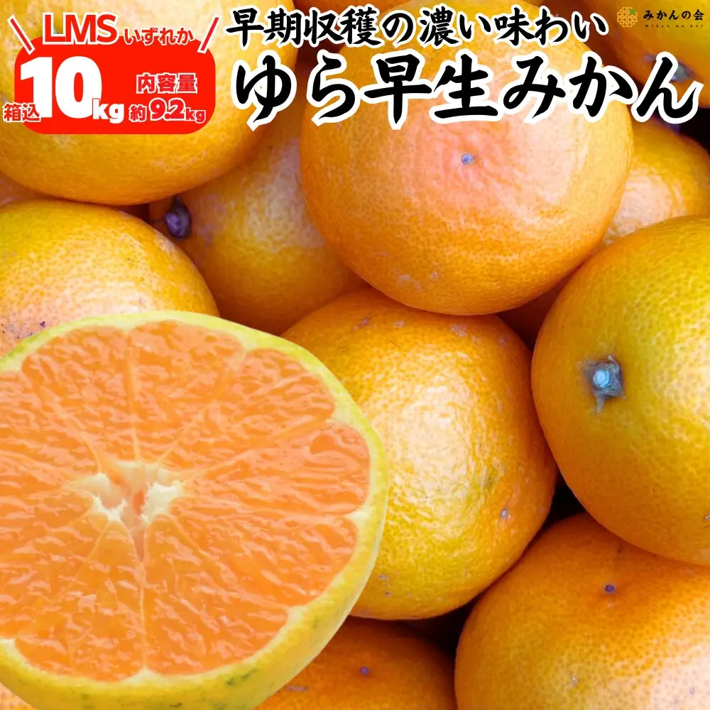 ゆら早生 みかん 箱込10kg (内容量 9.2kg)  SMLサイズのいずれか 秀品 優品 混合 有田みかん 和歌山県産 【みかんの会】［2026年10月下旬頃より順次発送予定］