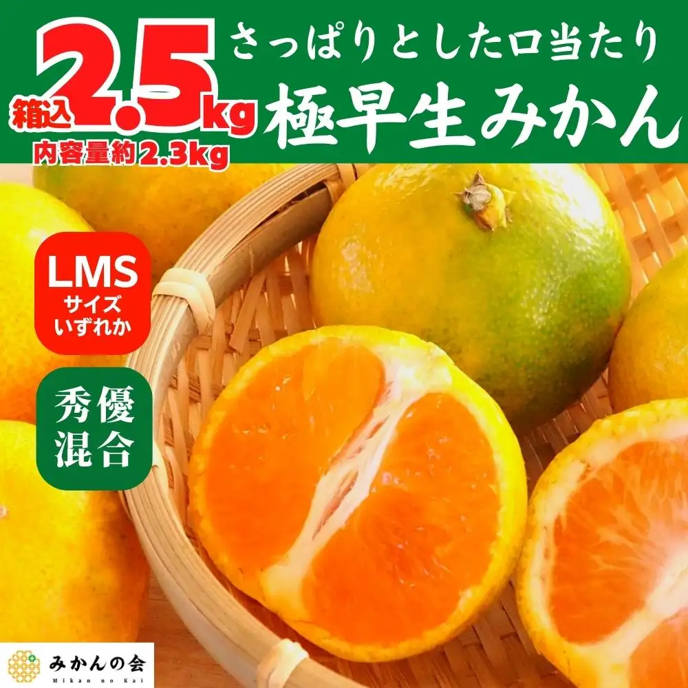 みかん 極早生 箱込 2.5kg (内容量約 2.3kg) S/M/Lサイズのいずれか 秀品 優品 混合 有田みかん 和歌山県産 【みかんの会】［2026年10月上旬頃より順次発送予定］