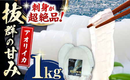 対馬産 アオリイカ 1kg 海鮮 魚介 いか イカ 刺身  [WAA029] アオリイカ烏賊