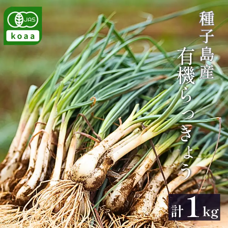たねがしま らっきょう 誠農園 ( 種子島 有機 JAS 根つき 生らっきょう) 1kg　NFN583【250pt】 