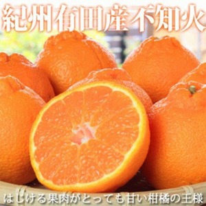 〈定期便〉【2・4・6・8・10・12月 全6回】和歌山産 旬のフルーツ お楽しみ 定期便 【魚鶴】◆ ｜ フルーツ