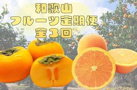 〈定期便〉【10・11・12月 全3回】和歌山人気のフルーツ定期便（柿・みかん）【魚鶴厳選】｜ﾌﾙｰﾂ 