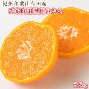 〈定期便〉【1・2・3月 全3回】紀州和歌山産旬の柑橘セット(みかん・不知火・清見)　｜ﾌﾙｰﾂ ※離島への配送不可