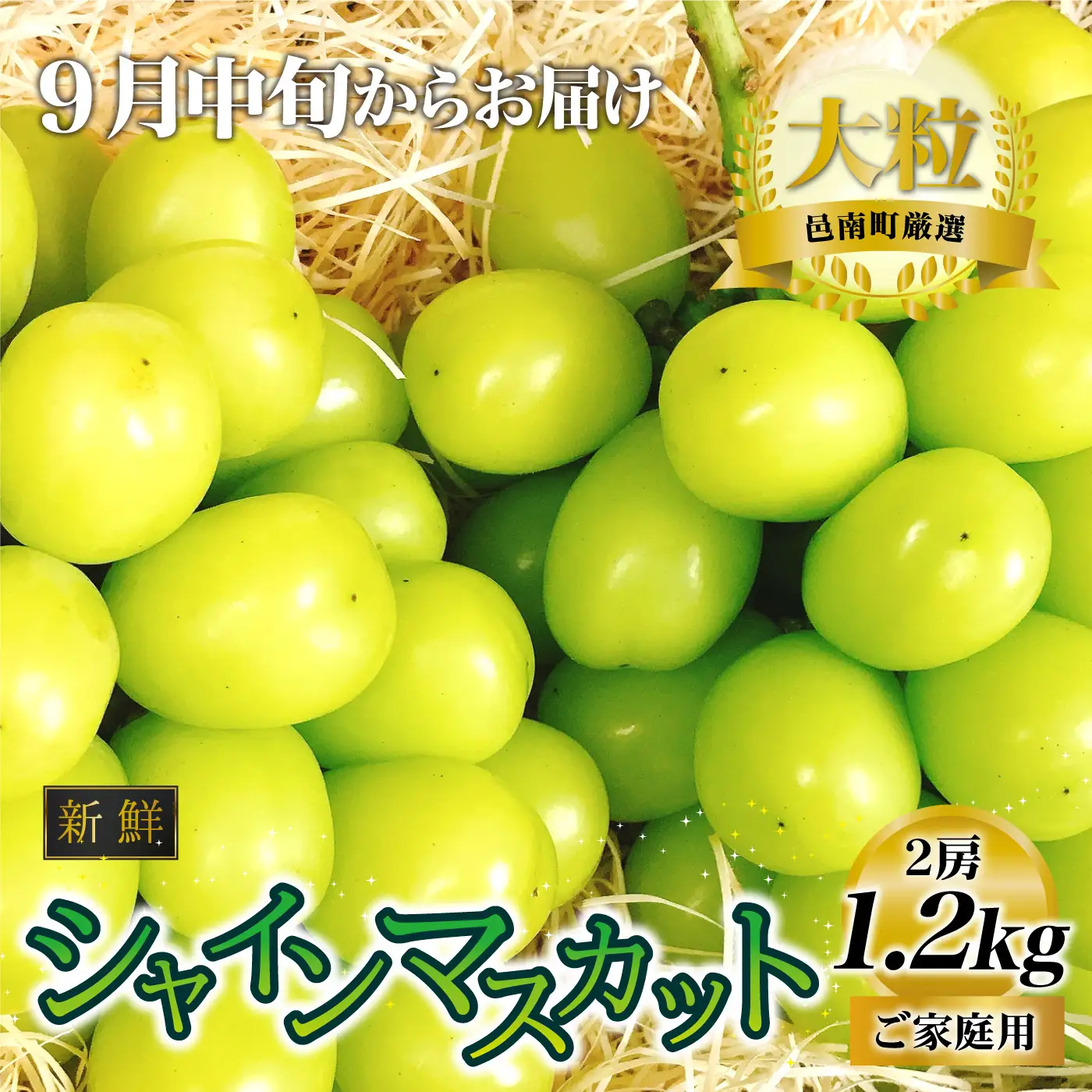 【先行予約】新鮮フルーツ シャインマスカット 1.2kg 果物 くだもの ご家庭用 9月中旬よりお届け