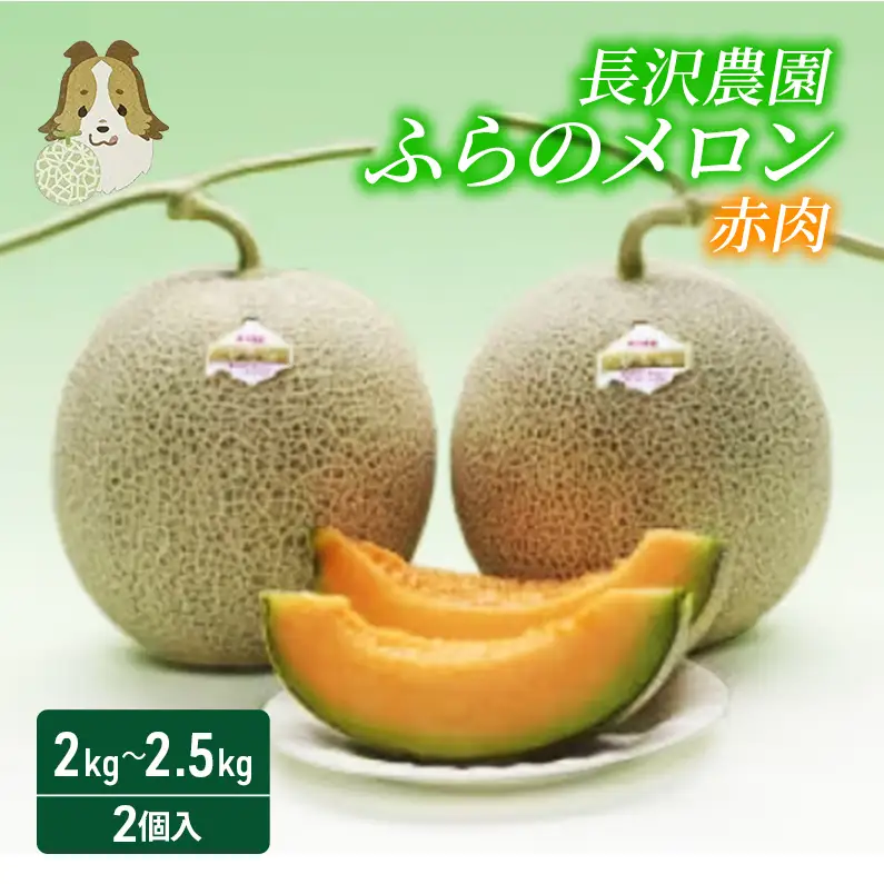 【先行受付  2026年発送】ふらのメロン 赤肉 大玉 ジャンボ 2玉 セット 計4kg以上 北海道 富良野 メロン 夏 果物 フルーツ ギフト 長沢農園