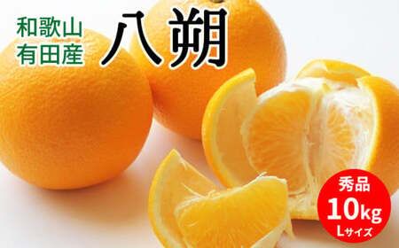U6301_【2027年先行予約】八朔 秀品 約10kg Lサイズ 和歌山県有田産