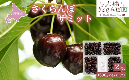 【 先行受付 】さくらんぼ サミット 2kg 500g×4パック 大橋さくらんぼ園 農林水産大臣賞 受賞 サクランボ チェリー 果物 果物類 フルーツ デザート 高級 希少 大粒